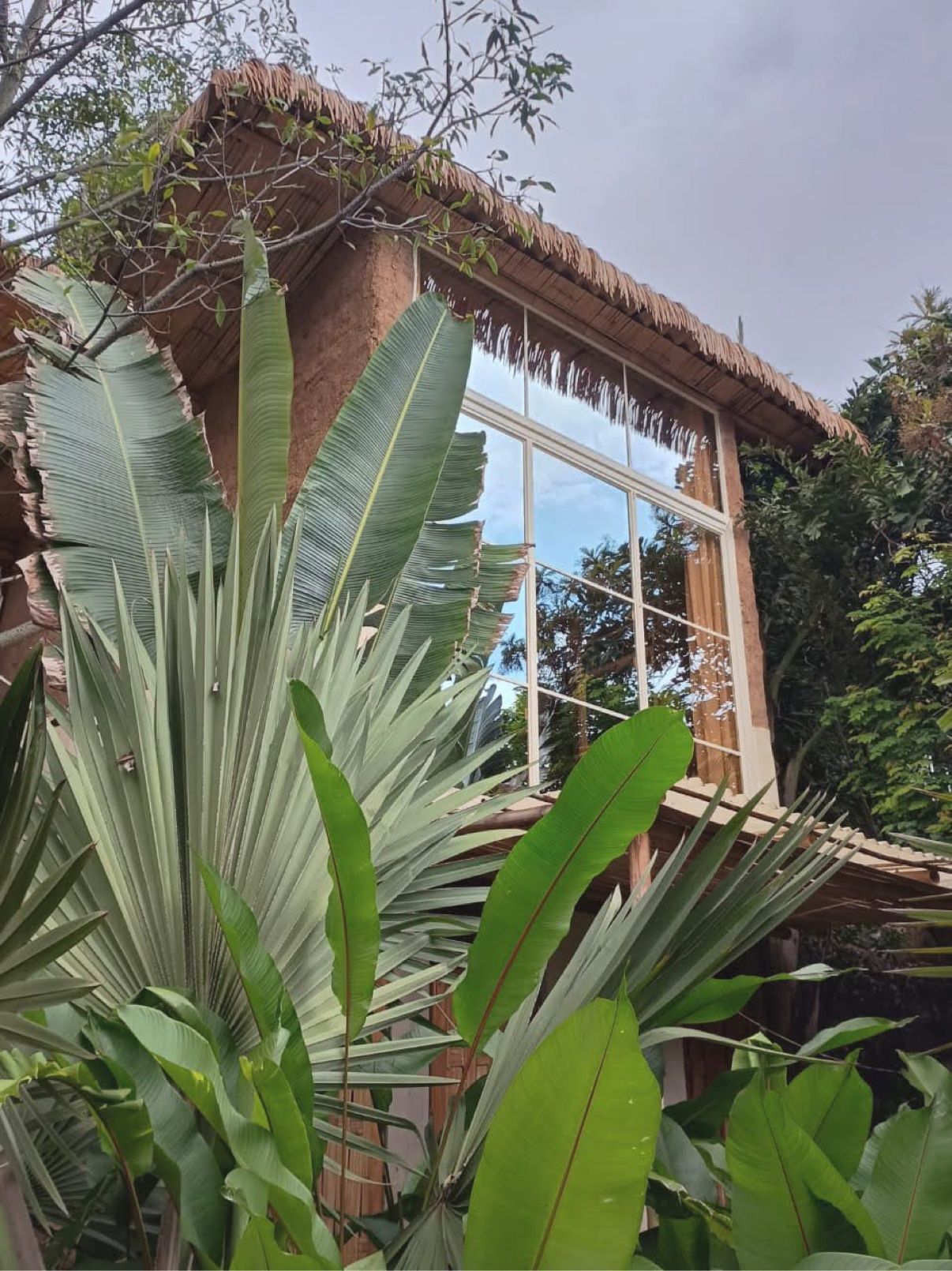 Tipi exterior among banana leaves